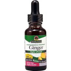 Nature's Answer Ginger 250 mg 1 fl oz