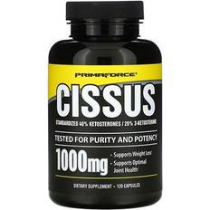 Primaforce Cissus 120 Vegetarian Capsules Joint Support