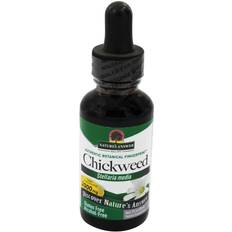 Nature's Answer Chickweed Herb Alcohol Free 1 fl oz