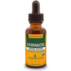 Herb Pharm Echinacea Alcohol-Free 4 fl oz (120 ml)