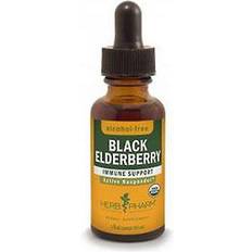 Herb Pharm Black Elderberry Immune Support Alcohol Free 1 fl oz