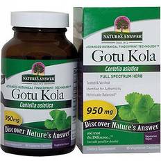 Nature's Answer Gotu Kola Herb 90 Vegetarian Capsules