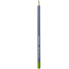 Faber-Castell Goldfaber Aqua Watercolor Pencils may green 170