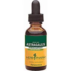 Herb Pharm Astragalus Immune Support 1 fl oz