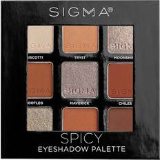 Sigma Beauty Eyeshadow Palette Spicy