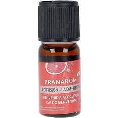 Pranarom Eterisk olja Bienvenida Acogedora 10ml