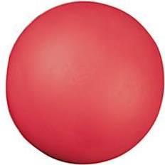 Champion Sports High Density Coated 4" Foam Ball