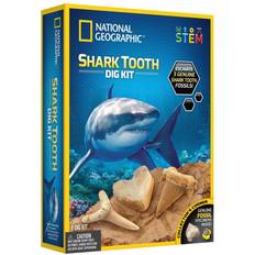 National Geographic Shark Tooth Dig Kit