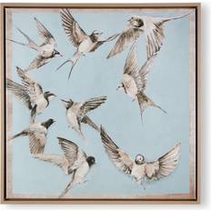 Graham & Brown Take Flight Framed Art 71.1x71.1cm