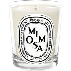 Diptyque Mimosa Scented Candle 190g