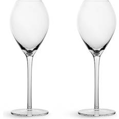 Sagaform Champagne Glasses Sagaform Saga Champagne Glass 20cl 2pcs