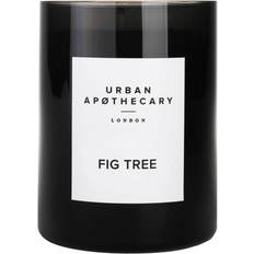 Urban Apothecary Fig Tree Luxury 300g Scented Candle