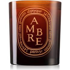 Diptyque Ambre Scented Candle 300g