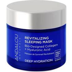 Andalou Naturals Naturals Deep Hydration Revitalizing Sleeping Mask 50ml