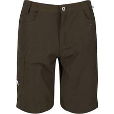 Gold Shorts Regatta Delgado Shorts Sand