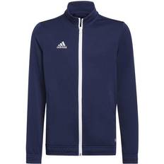 Adidas Entrada Jacket - Blue (HC5035)