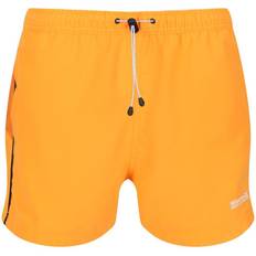 Regatta Men's Rehere Shorts