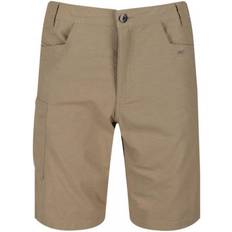 Gold - Men Shorts Regatta Mens Delgado Shorts (42R) (Gold Sand)