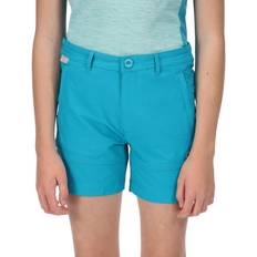 Regatta Highton Walking Shorts - Blue Enamel