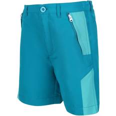 Regatta Sorcer Mount Ii Shorts