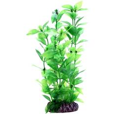 Hobby Dohse Hygrophila 20 cm