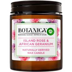 Air Wick Botanica Rose and Geranium wilko Scented Candle