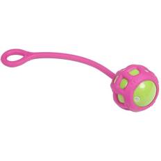 Petlife Tug-O-Warp Dog Toy