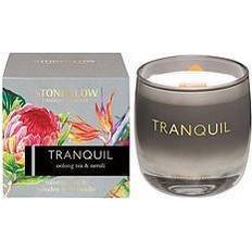 Stoneglow Infusion Tranquil Oolong Tea & Neroli Scented Scented Candle