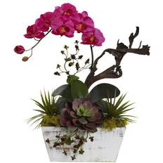 Wood Garden Decorations Nearly Natural Orchid & Succulent Garden with Wash Planter