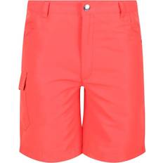 Regatta Childrens/kids Sorcer Ii Shorts (treetop)