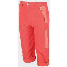 Hiking Outerwear Trousers Regatta Sorcer Mt Trousers V NeonPch/FusC