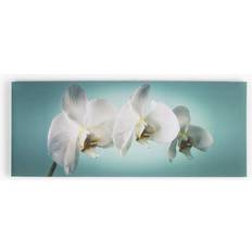 Graham & Brown For The Home Teal Orchid Canvas Framed Art