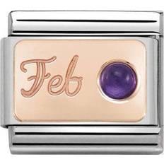 Men - Rose Gold Charms & Pendants Nomination Composable Classic February Charm - Silver/Rose Gold/Amethyst