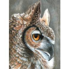 Royal Color Pencil By Number Kit 8.75 X11.75 -Sepia Owl