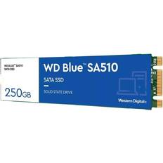 Western Digital Blue WDS250G3B0B 250GB