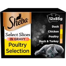 Sheba Select Slices Cat Food Pouches Poultry Gravy
