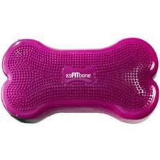 FITPAWS Pet Balance Platform Razzleberry