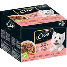 Cesar Selection in Sauce 24x100g