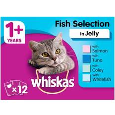 Whiskas Cats - Wet Food Pets Whiskas Cat Food 1+ Fish In Jelly 12x100g