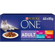 Purina ONE Adult Cat Mini Fillets In Gravy 40x85g