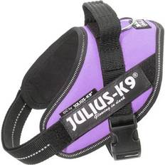 Julius-K9 Dog Collars & Leashes - Dogs Pets Julius-K9 IDC Harness Mini 51-67