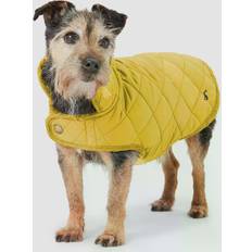 Joules Clothing Quilted Pet Coat