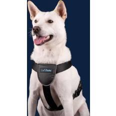 The Company of Animals Carsafe Dog Travel Small
