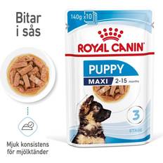 Royal Canin Dogs - Wet Food Pets Royal Canin Wet Maxi Puppy Saver Pack: