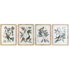 Dkd Home Decor Botaniska växter (50 x 2,5 x 65 cm) (4 antal) Framed Art