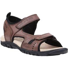 Geox Strada - Brown