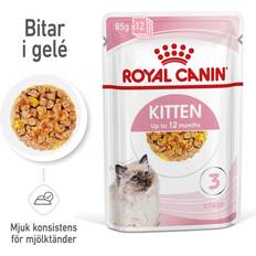 Royal Canin Fhn Kitten In Jelly 85G