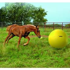 Power ball Maximus Power Play Ball 100cm