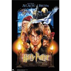 Harry Potter Stone of the Wise Poster 61x91.5cm 2pcs