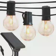 Brightech Ambience Pro Black String Light 12 Lamps